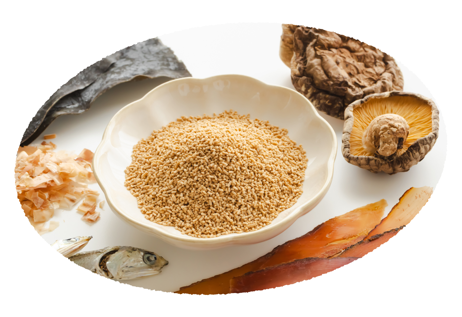 私たちについて