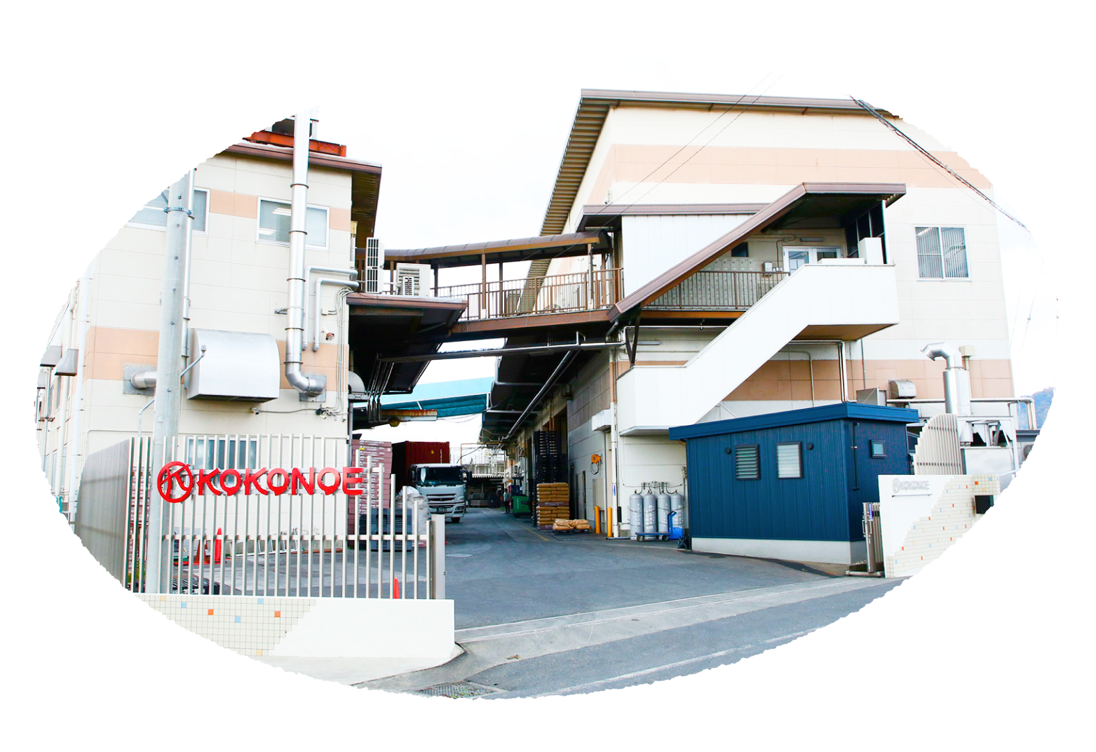 私たちについて